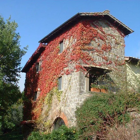 Il Gelso Bianco Viterbo